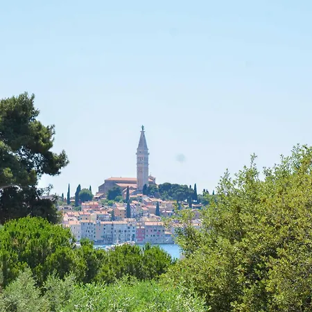 Classic And Elegant With Balcony Apartment Rovinj